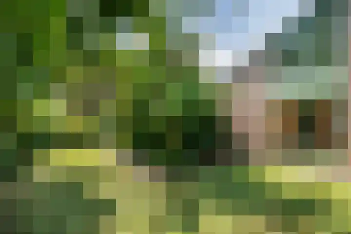 Boerderijlaan 1 Moordrecht thumbnail 32