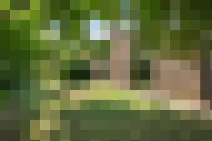 Boerderijlaan 1 Moordrecht thumbnail 33