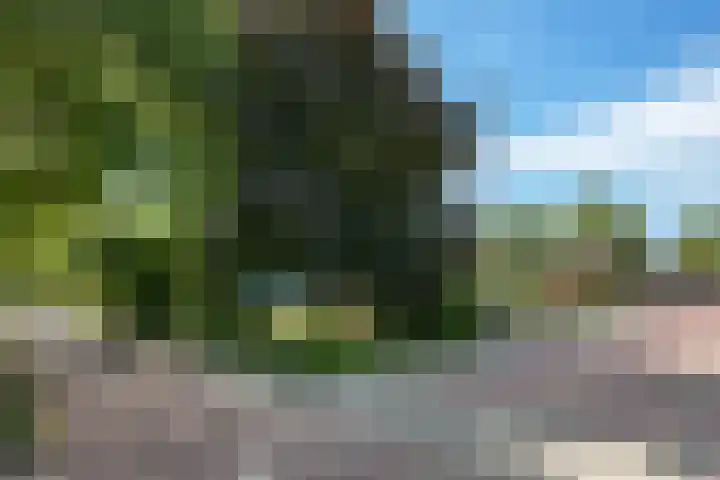 Boerderijlaan 1 Moordrecht thumbnail 36