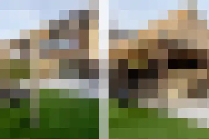 Boerderijlaan 21 Moordrecht thumbnail 42