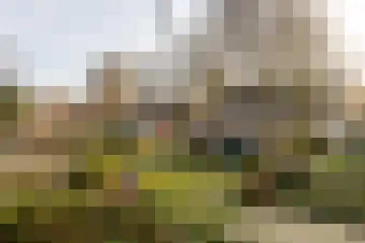 Boerderijlaan 21 Moordrecht thumbnail 49