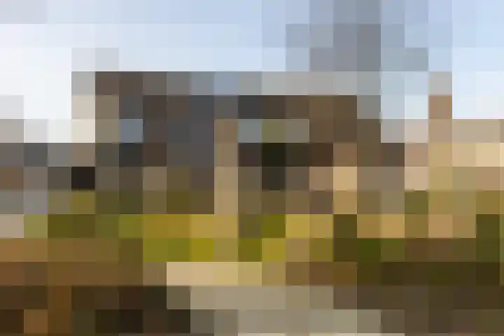 Boerderijlaan 21 Moordrecht thumbnail 51