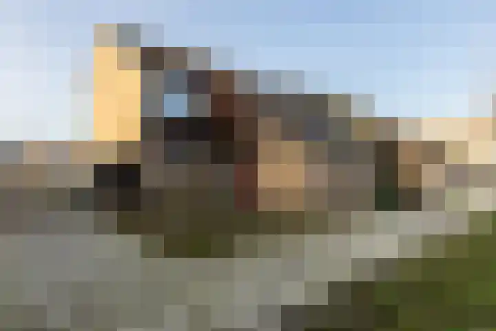 Boerderijlaan 21 Moordrecht thumbnail 6