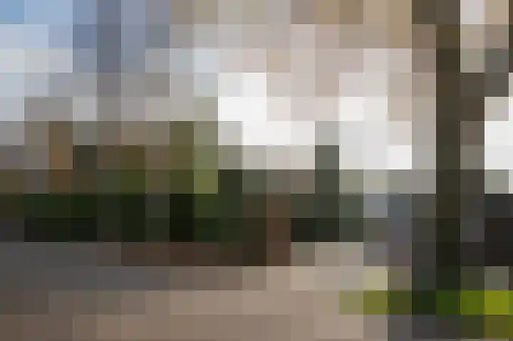 Boerdijk 14 in Nieuwlande