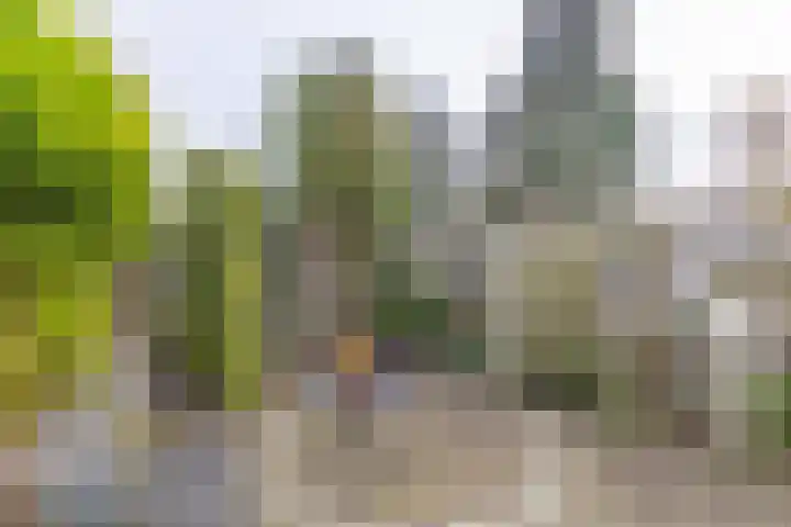 Boerdijk 5 c Enter thumbnail 25