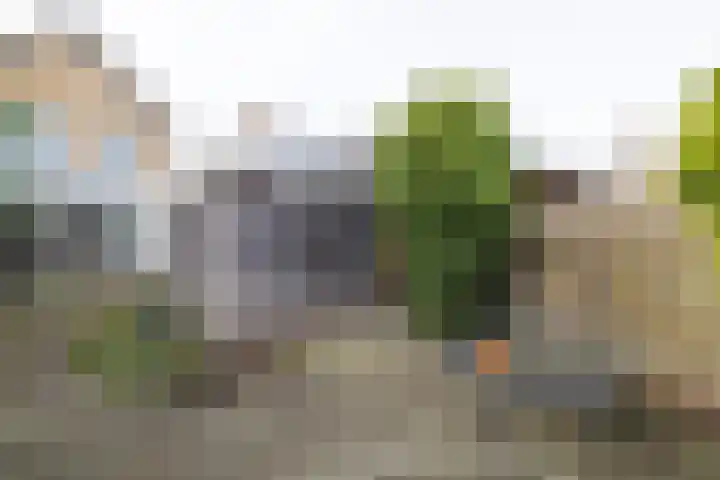 Boerdijk 5 c Enter thumbnail 27