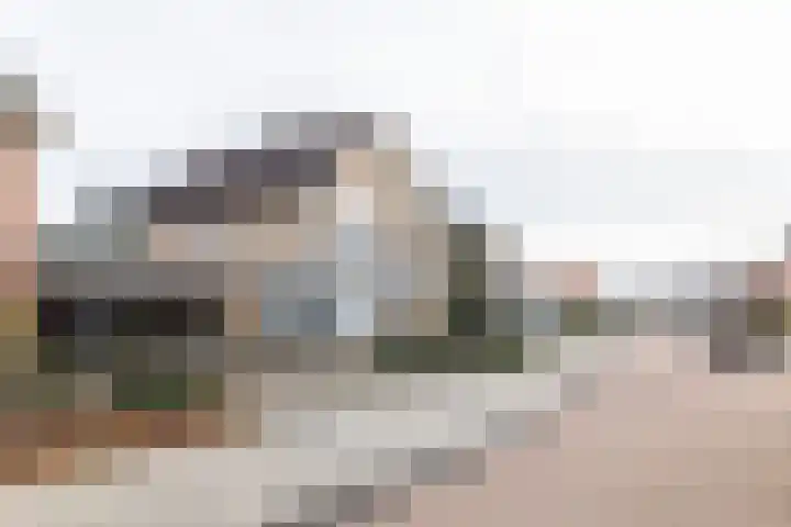 Boerdijk 5 c Enter thumbnail 28