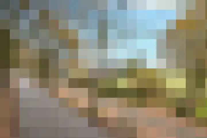 Boerdonksedijk 15 Erp thumbnail 10