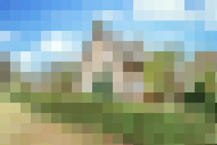 Boerdonksedijk 15 Erp thumbnail 11