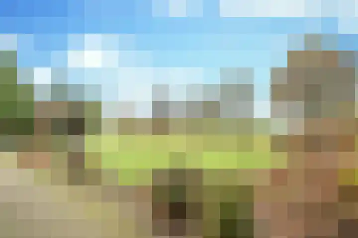 Boerdonksedijk 15 Erp thumbnail 12