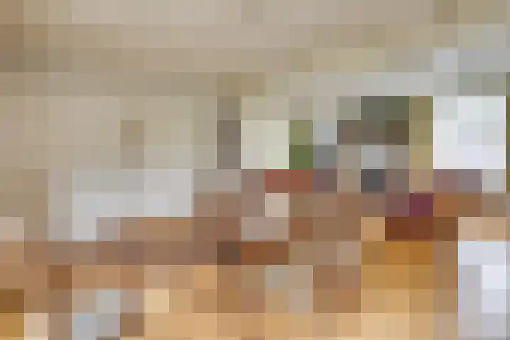 Boerdonksedijk 15 Erp thumbnail 19