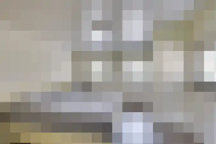 Boerdonksedijk 15 Erp thumbnail 27