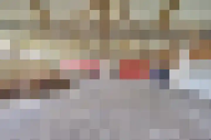 Boerdonksedijk 15 Erp thumbnail 29