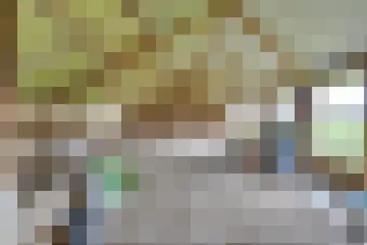 Boerdonksedijk 15 Erp thumbnail 32