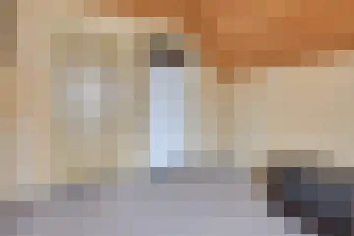 Boerdonksedijk 15 Erp thumbnail 36