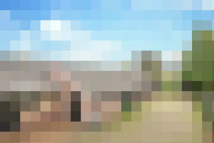 Boerdonksedijk 15 Erp thumbnail 38