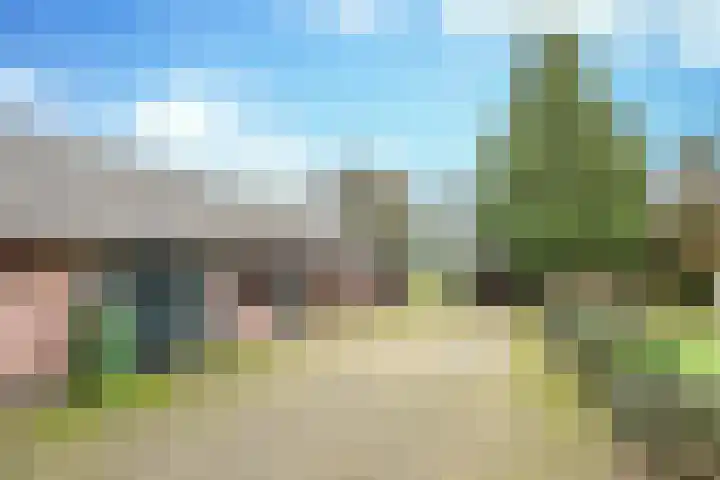 Boerdonksedijk 15 Erp thumbnail 39