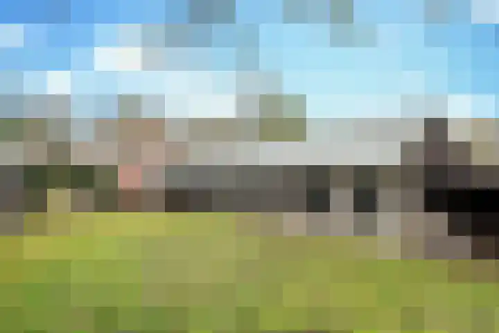 Boerdonksedijk 15 Erp thumbnail 41