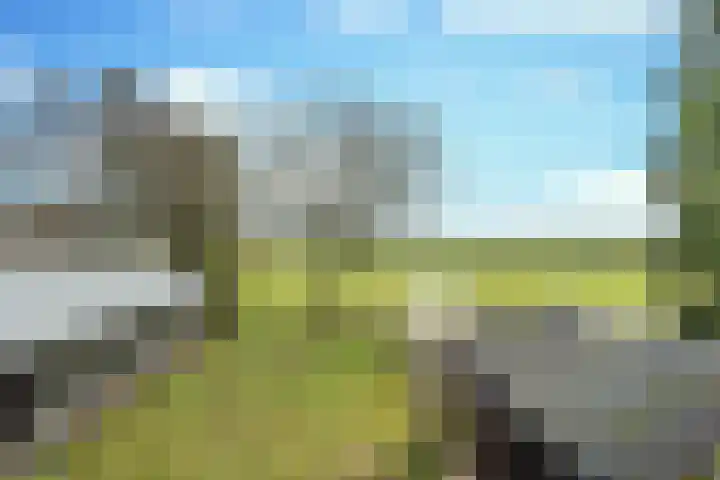 Boerdonksedijk 15 Erp thumbnail 42