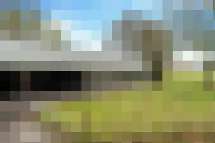 Boerdonksedijk 15 Erp thumbnail 43