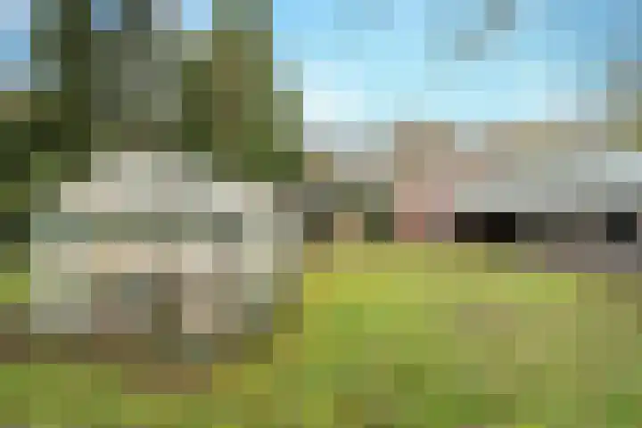 Boerdonksedijk 15 Erp thumbnail 44