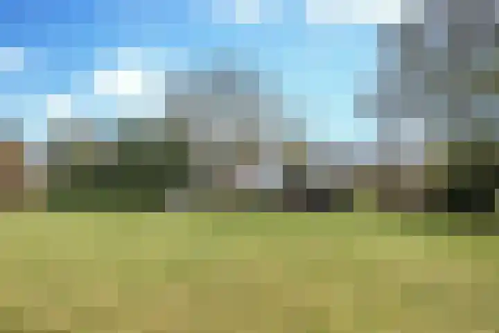 Boerdonksedijk 15 Erp thumbnail 45