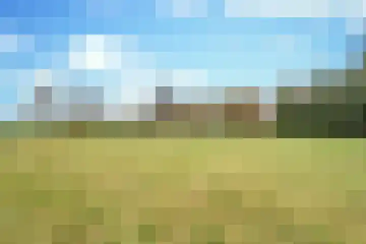 Boerdonksedijk 15 Erp thumbnail 46