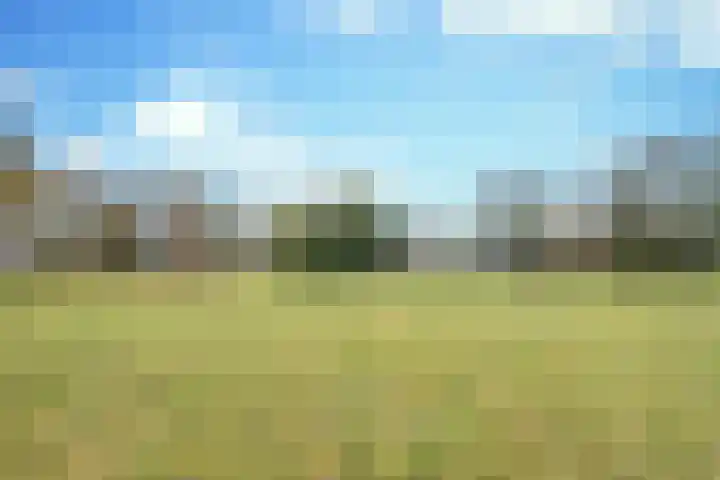 Boerdonksedijk 15 Erp thumbnail 47