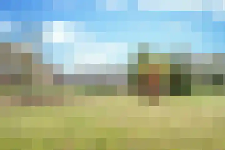 Boerdonksedijk 15 Erp thumbnail 48