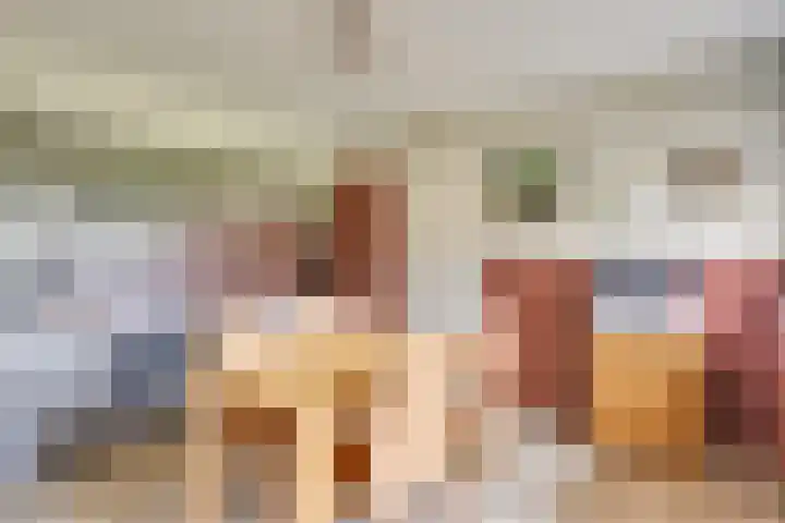 Boerdonksedijk 15 Erp thumbnail 5