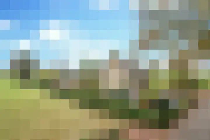Boerdonksedijk 15 Erp thumbnail 7