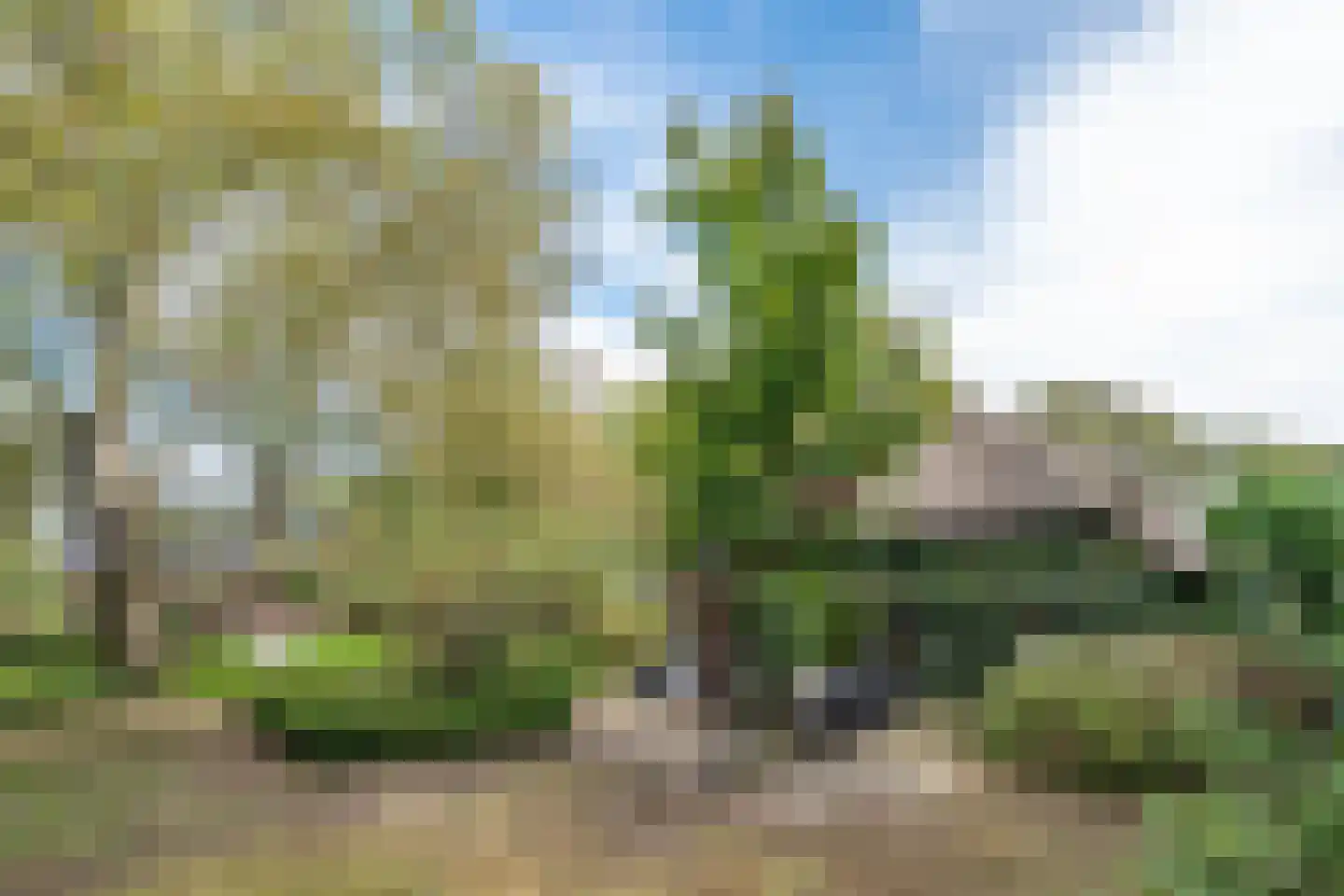 Boerdonksedijk 22 Erp thumbnail 10