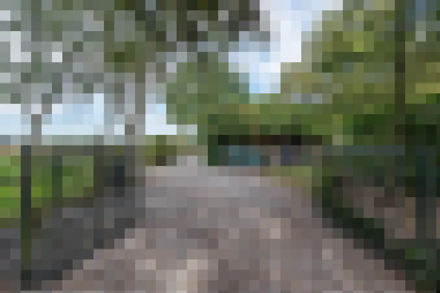 Boerdonksedijk 22 Erp thumbnail 11