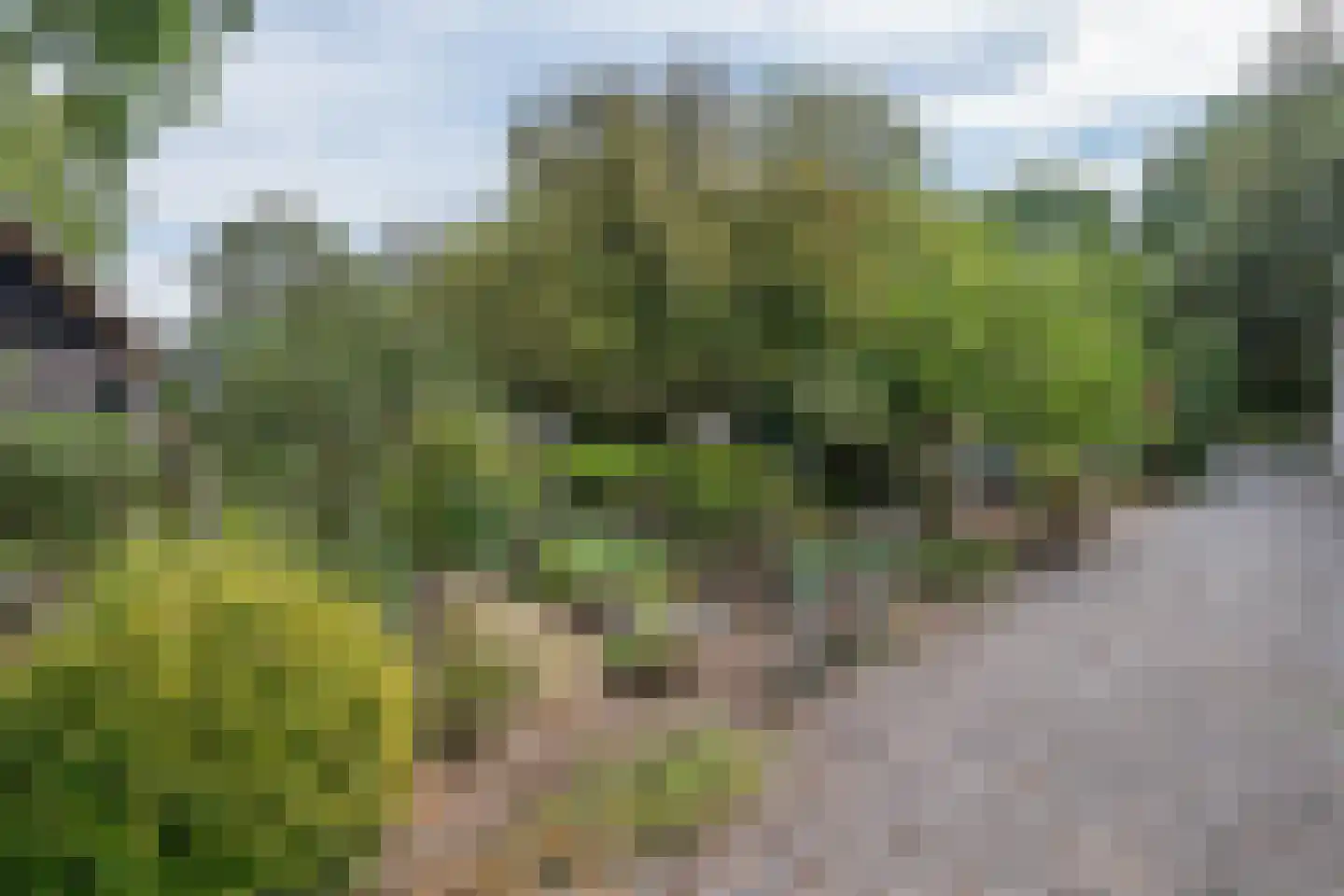 Boerdonksedijk 22 Erp thumbnail 12