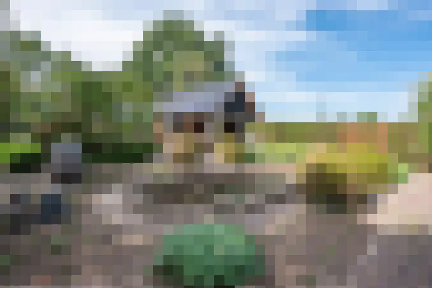 Boerdonksedijk 22 Erp thumbnail 14