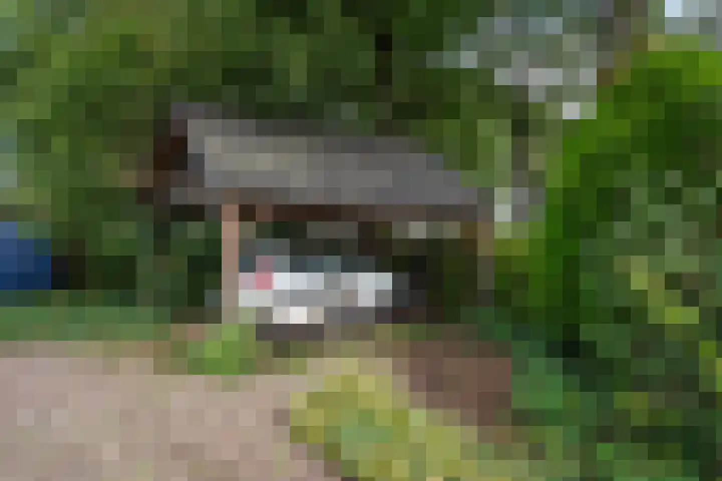 Boerdonksedijk 22 Erp thumbnail 15