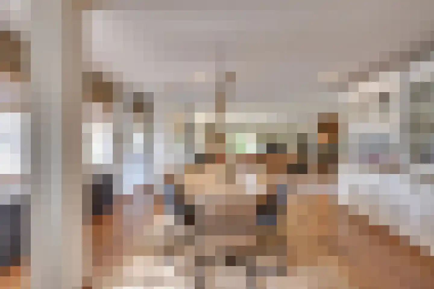 Boerdonksedijk 22 Erp thumbnail 19