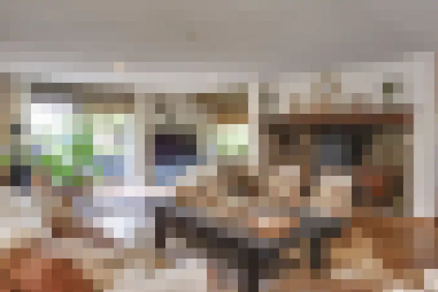 Boerdonksedijk 22 Erp thumbnail 23
