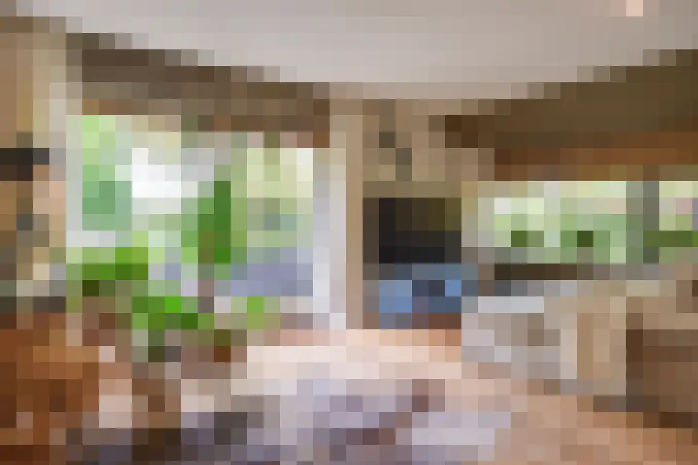 Boerdonksedijk 22 Erp thumbnail 24