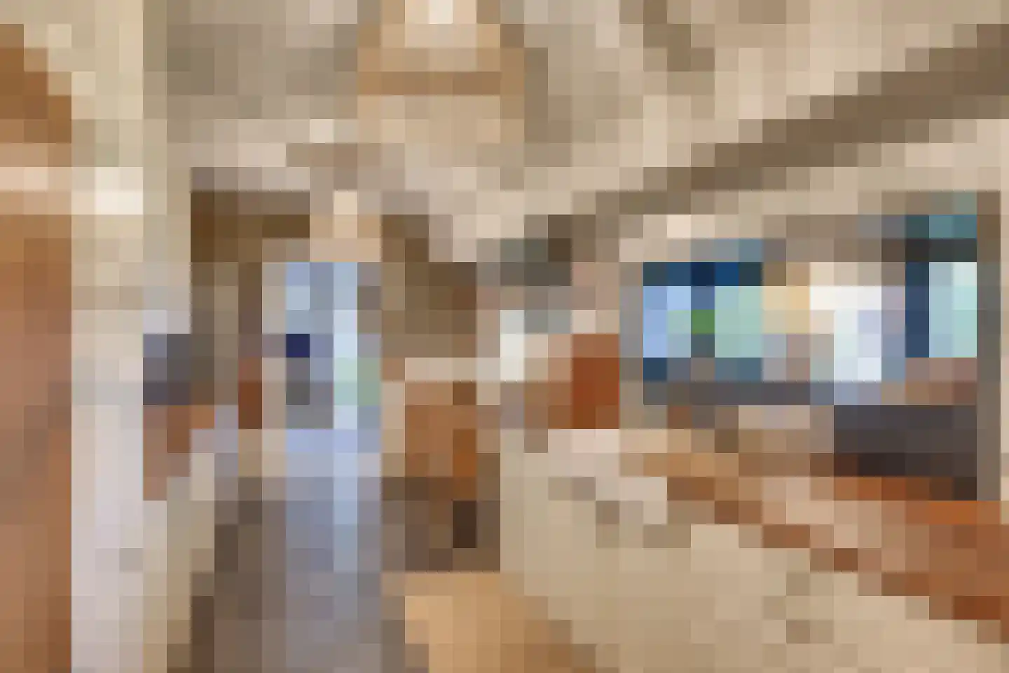 Boerdonksedijk 22 Erp thumbnail 29