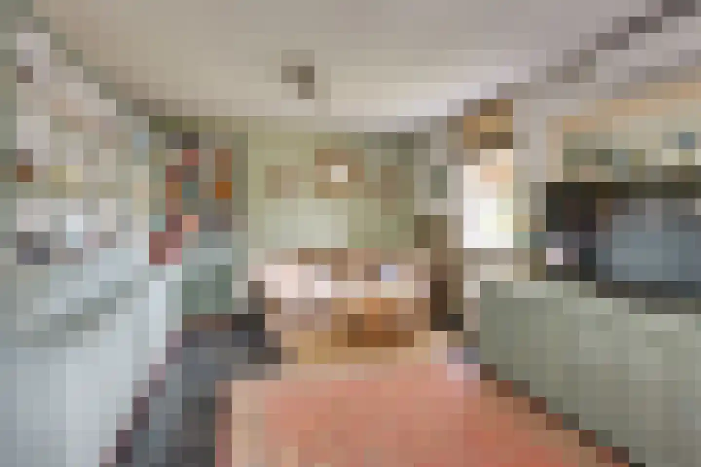 Boerdonksedijk 22 Erp thumbnail 31