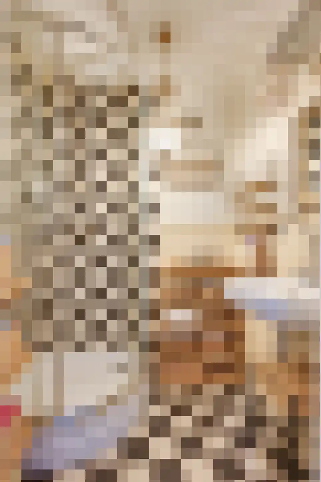 Boerdonksedijk 22 Erp thumbnail 33