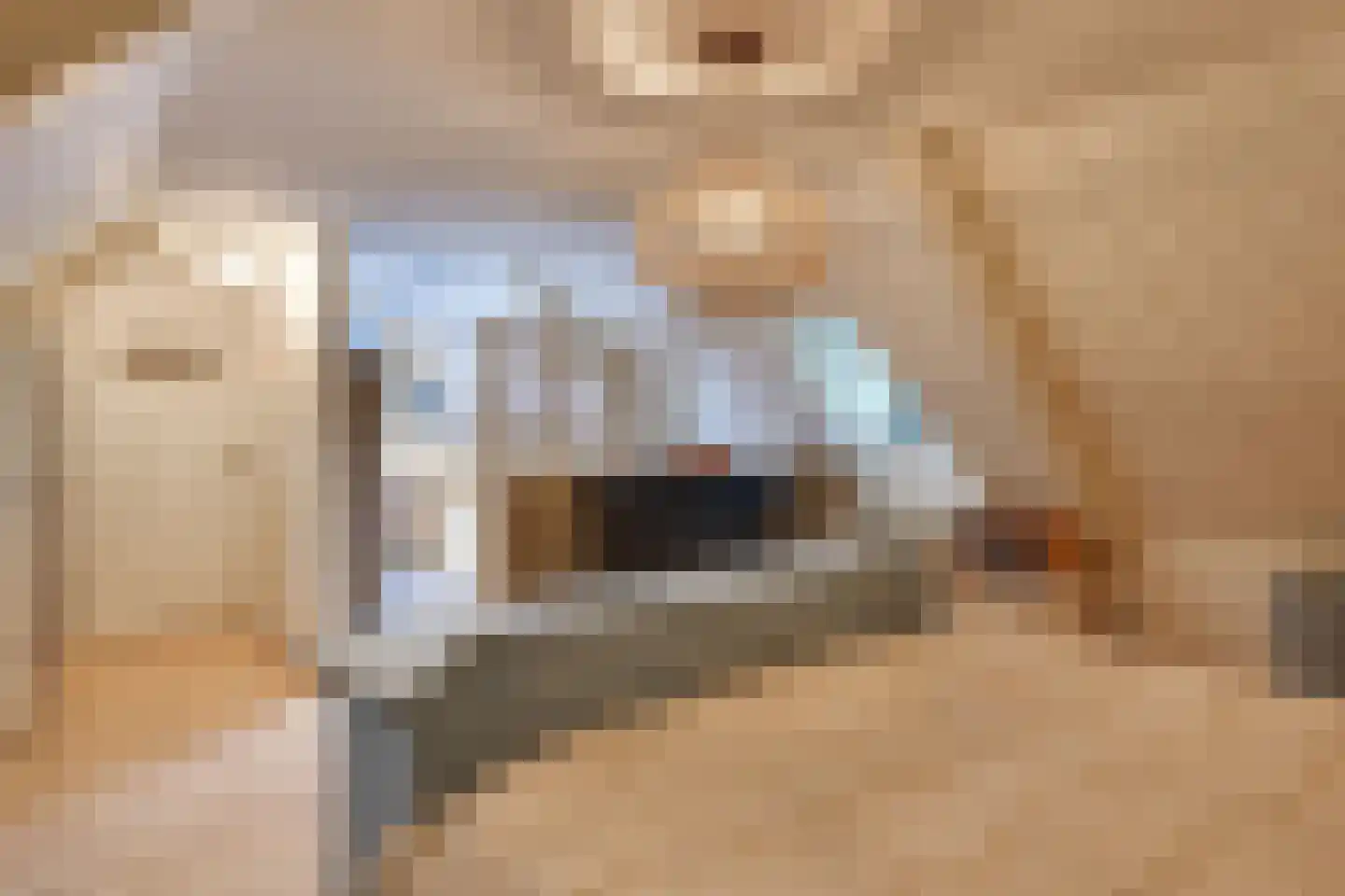 Boerdonksedijk 22 Erp thumbnail 38
