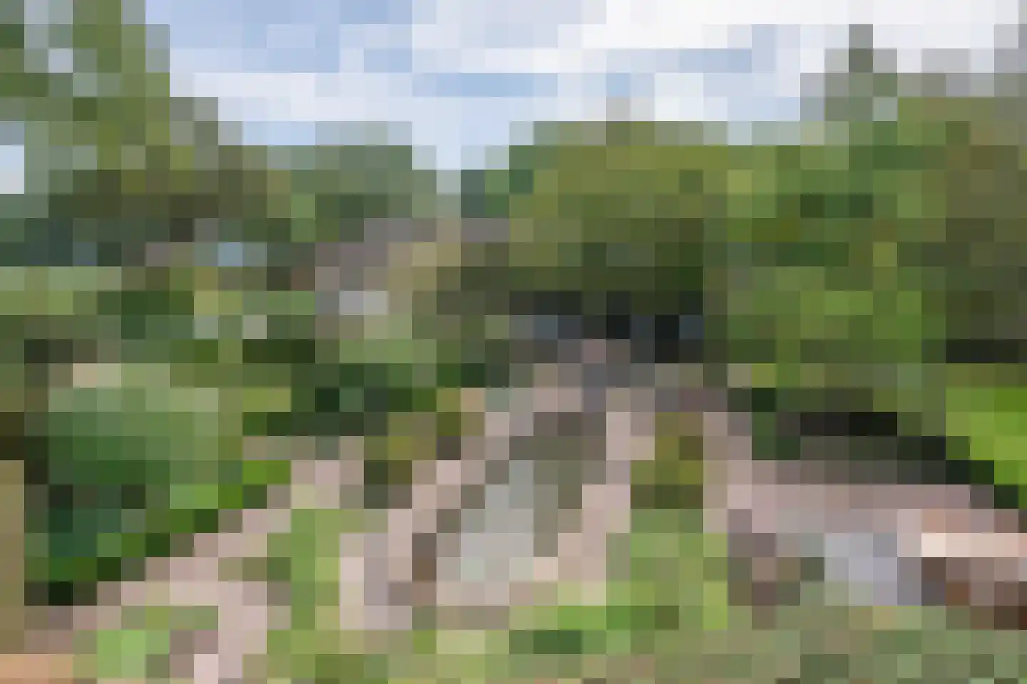 Boerdonksedijk 22 Erp thumbnail 4
