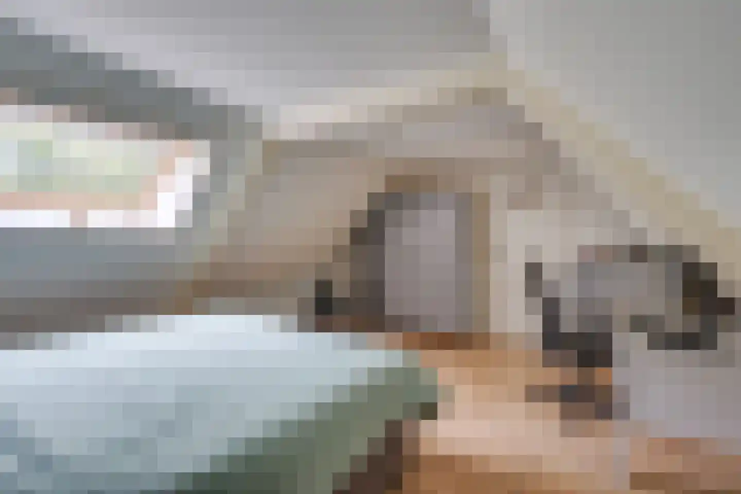 Boerdonksedijk 22 Erp thumbnail 43