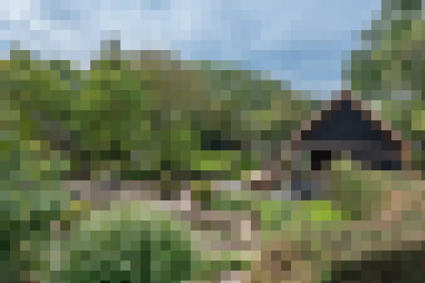 Boerdonksedijk 22 Erp thumbnail 5