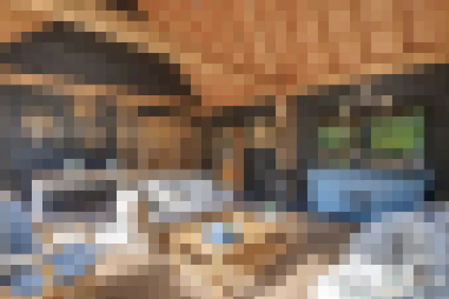 Boerdonksedijk 22 Erp thumbnail 51