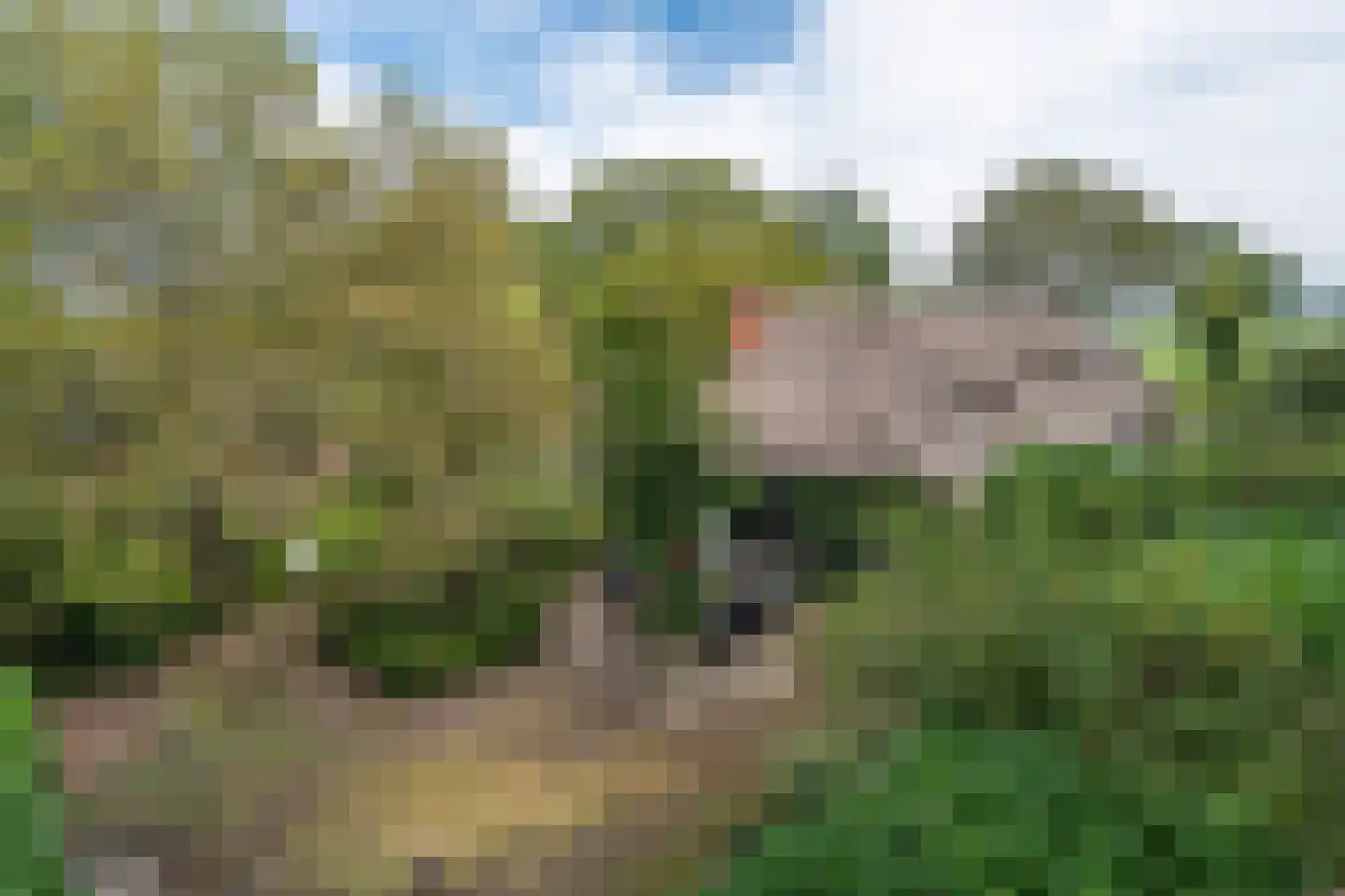 Boerdonksedijk 22 Erp thumbnail 8