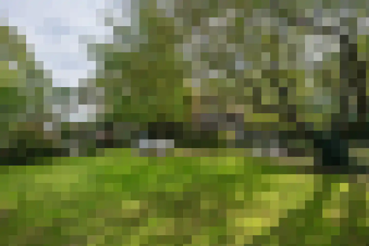 Boerdonksedijk 22 Erp thumbnail 9