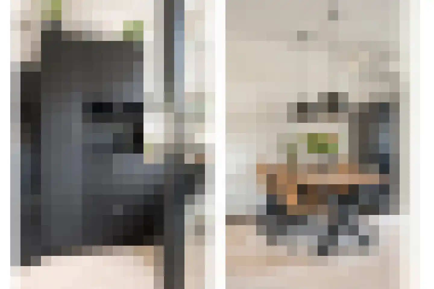 Boeregroentje 3 Ruinerwold thumbnail 10
